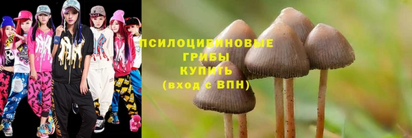 ECSTASY Баксан