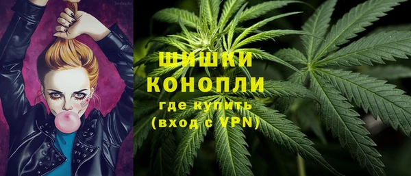 дживик Арсеньев